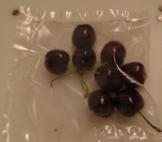 NanoPack makes Progress: Life in a bowl of cherries + HAVE YOUR SAY ON NANOPACK!