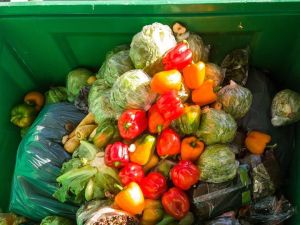 Can new technologies and changing habits help reduce food waste?