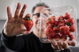 Morrisons to trial new film coating to extend produce life
