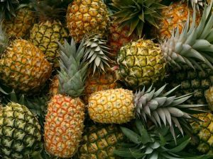 Researchers unveil packaging material made from pineapple waste that prolongs shelf life