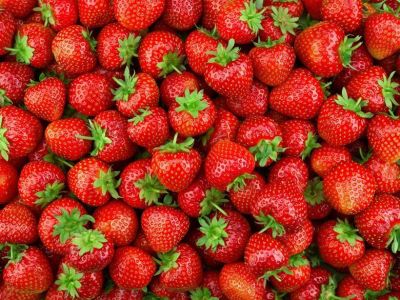 Thai University creates antimicrobial coating for strawberries using CBD